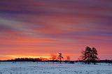 Snowscape Sunrise_14375-6